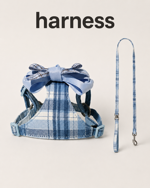 Blue and white plaid harness and matching leash with oversized blue bow