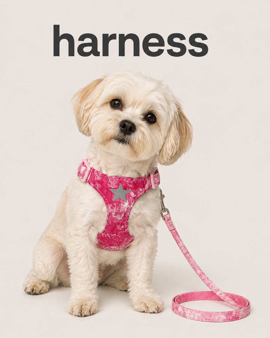 Small dog wearing pink star harness with matching pink leash