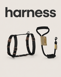 ByViolla Everyday Strong Harness & Leash Set