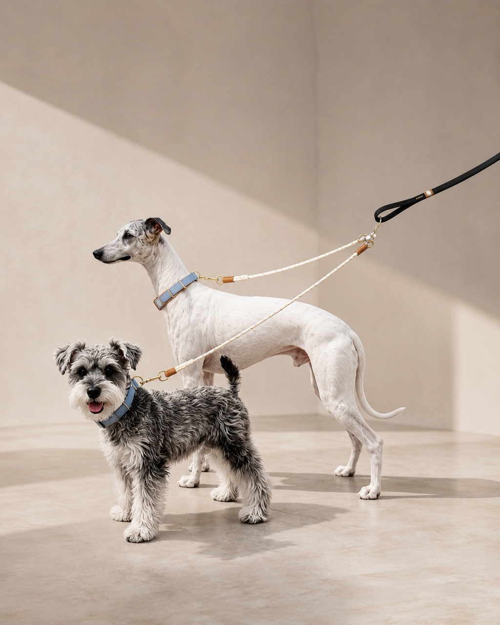 dual-dog-leash-black-two-dogs